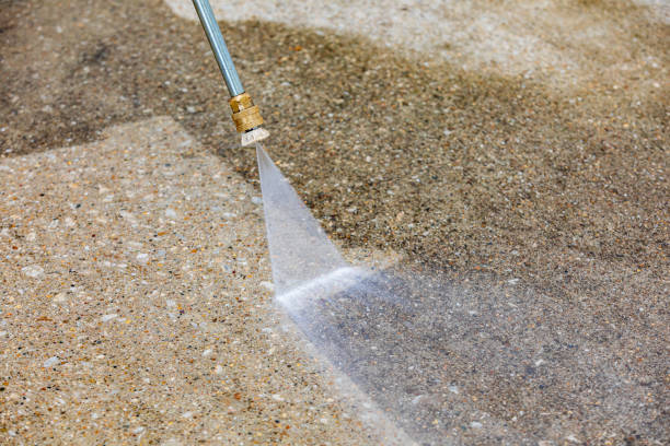 Best Dumpster Area Cleaning  in Muttontown, NY